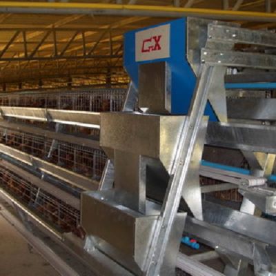 A Frame Broiler Battery Cage