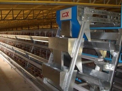 A Frame Pullet Battery Cage suppliers