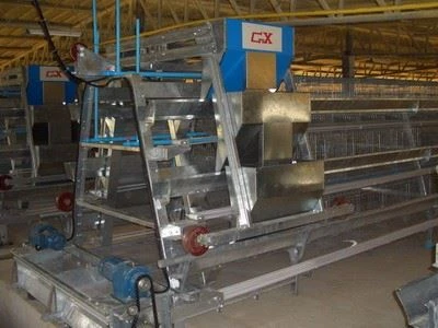 A Frame Pullet Battery Cage factory