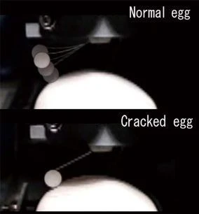 Automatic Crack Egg Detector factory