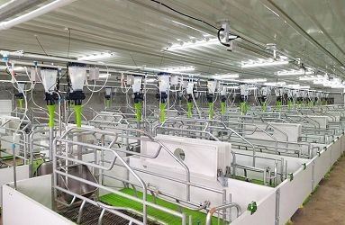 Automatic Feeding Data Collection System factory