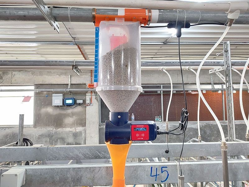 Automatic Feeding Data Collection System price