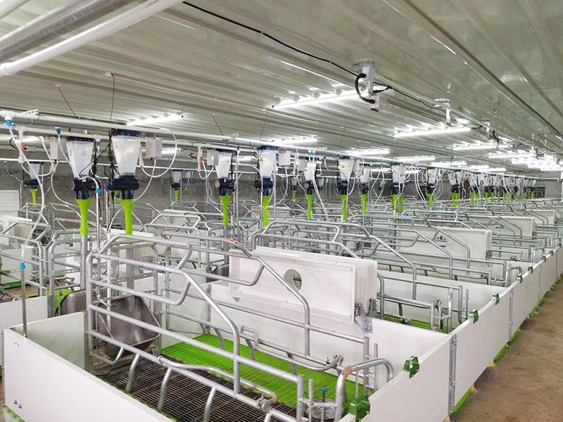 Automatic Feeding Data Collection System best