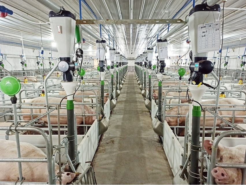Automatic Feeding Data Collection System high quality