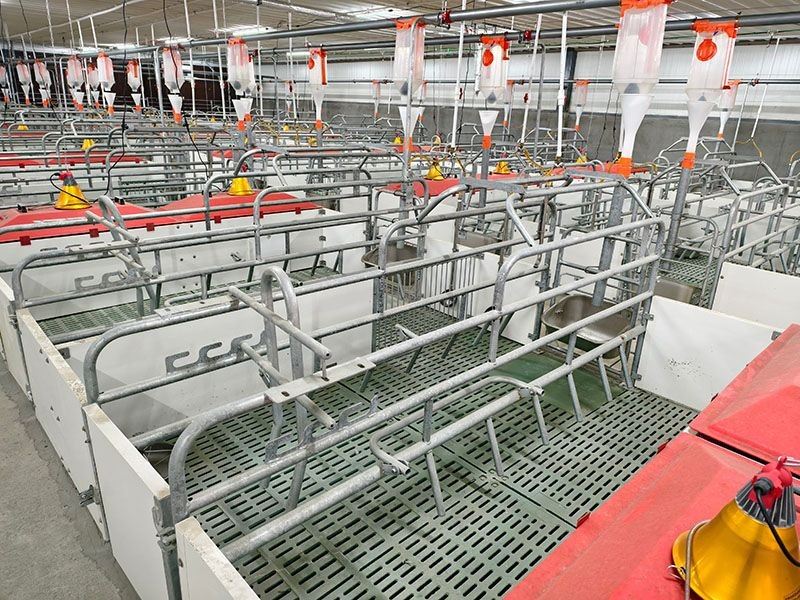 BMC Composite Glatted Floor best