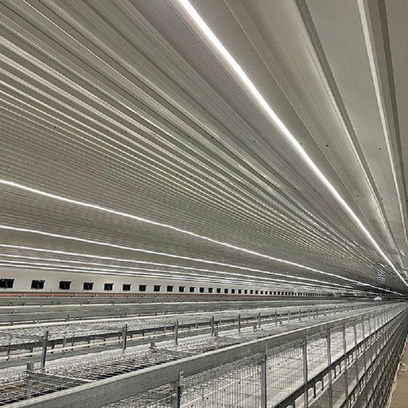 Breeder Cage Light System