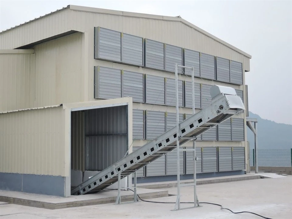 Breeder Cage Manure Removal System factory