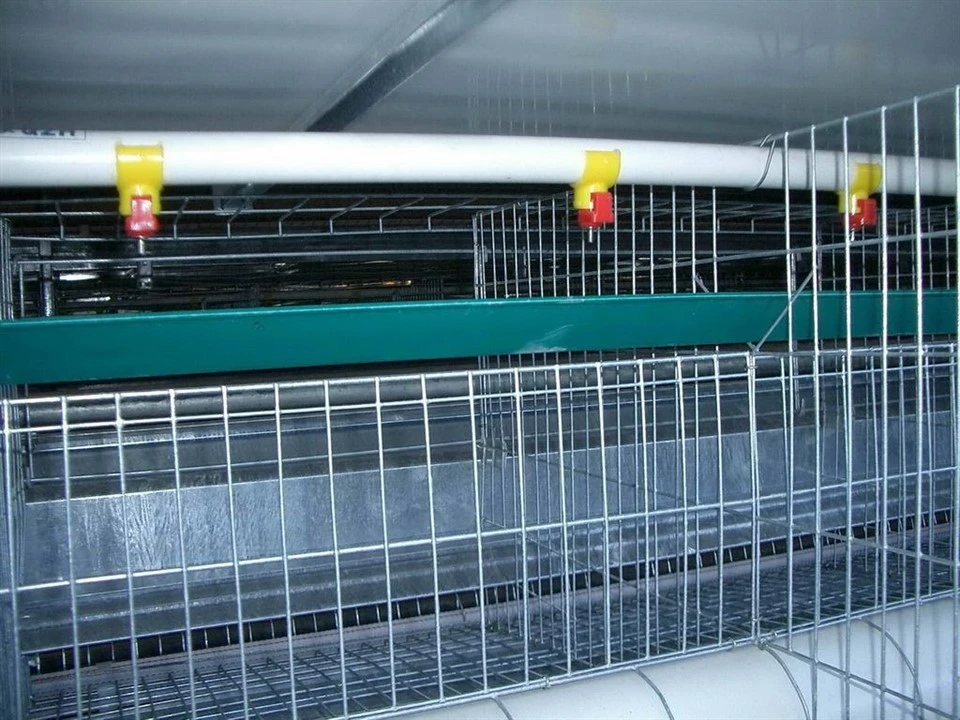 Breeder Cage Water Supply System best