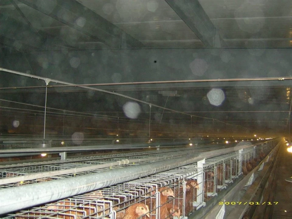 Broiler Cage Spraying System price