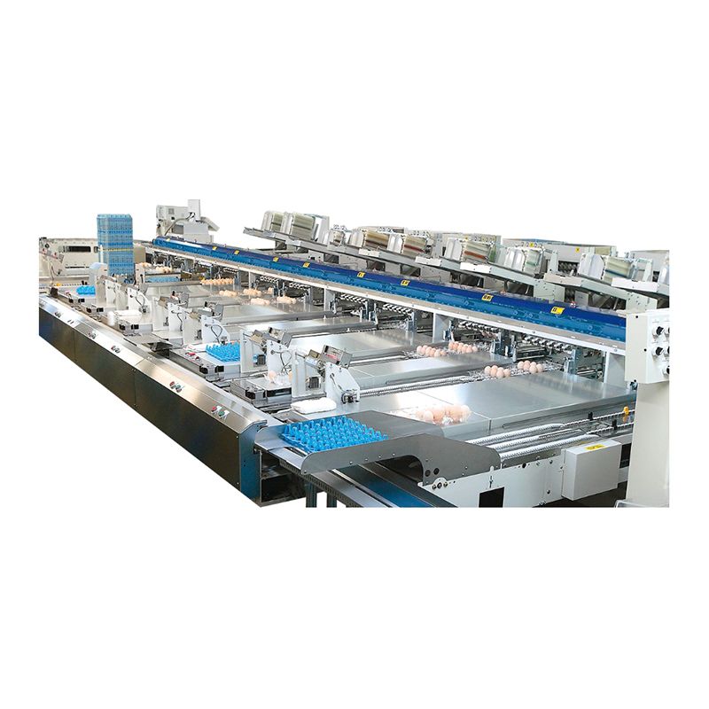 Egg Packing Equipment