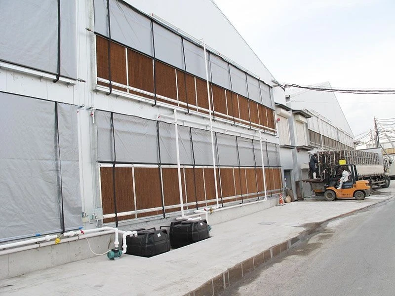 Evaporative Cooling Pad For Pig Farm best