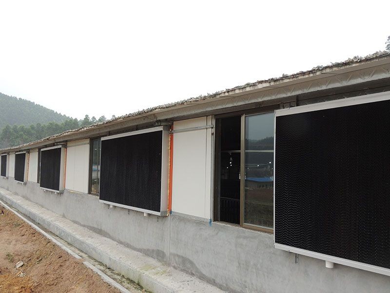 Evaporative Cooling Pad For Pig Farm suppliers