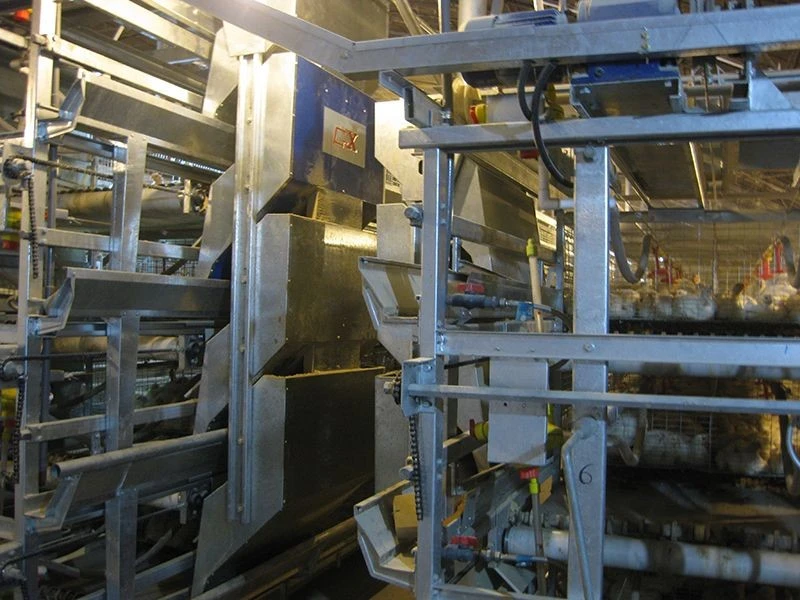 H Frame Broiler Cage suppliers