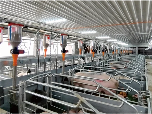 Automatic Pig Raising Equipment