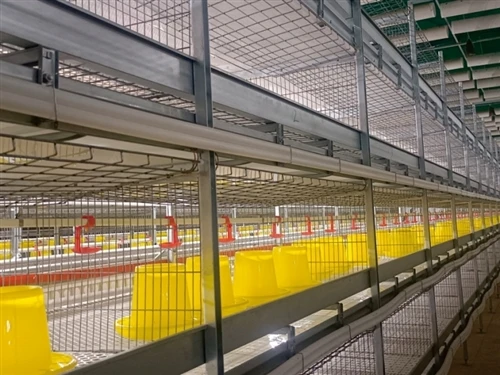 9CLX,Complete Set of Multi-tier H Frame Broiler Raising System