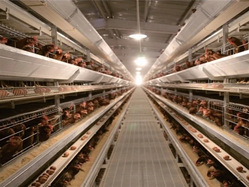 9CLX,Complete Set of Automatic Multi-tier H Frame Layer Raising System