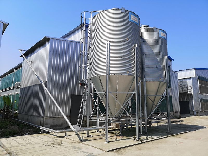 Layer Cage Feeding System suppliers