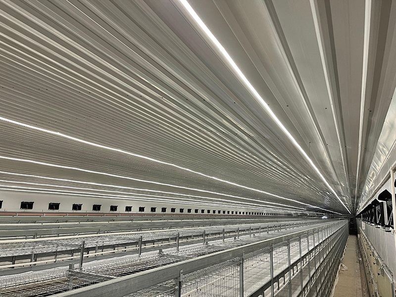Layer Cage Light System factory