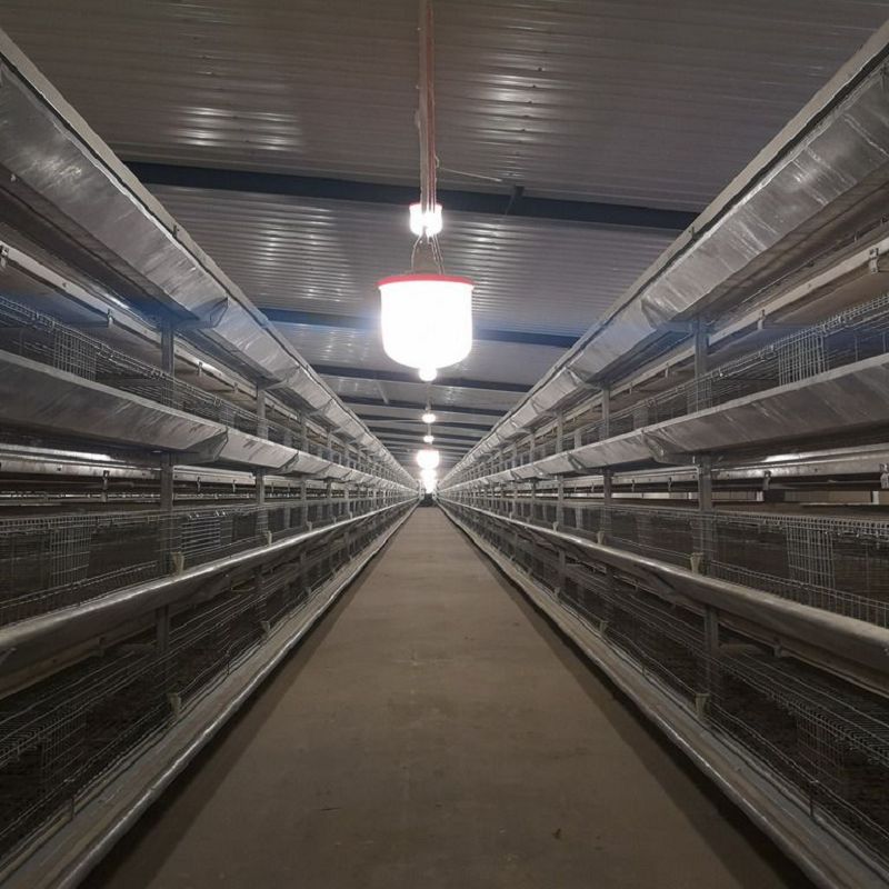 Layer Cage Light System