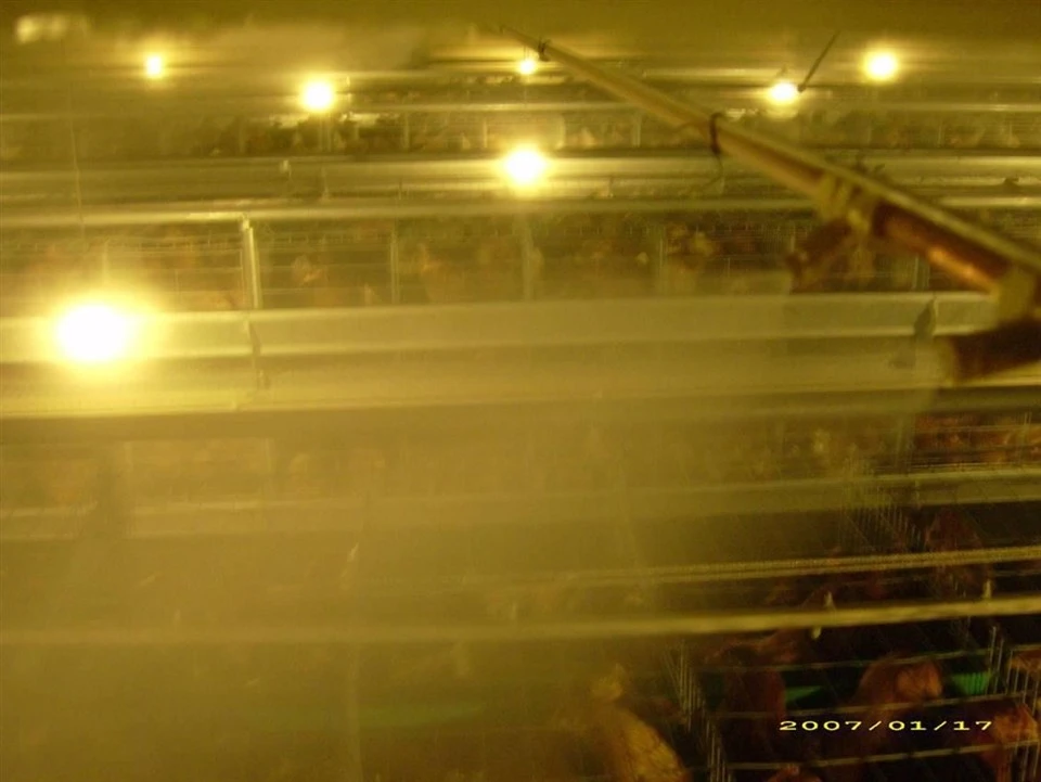 Layer Cage Spraying System factory