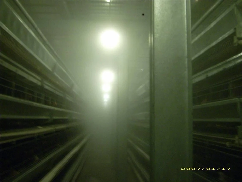 Layer Cage Spraying System high quality