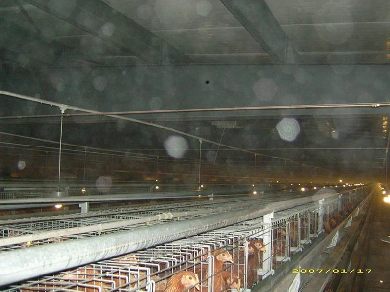 Layer Cage Spraying System price