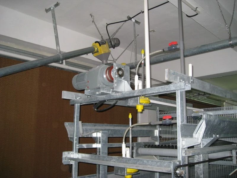 Layer Cage Water Supply System suppliers