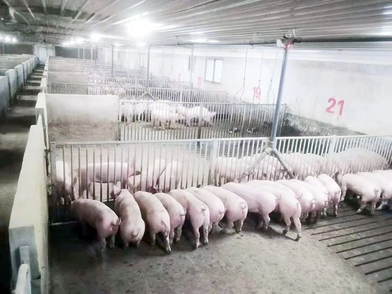 Liquid Feeding System factory