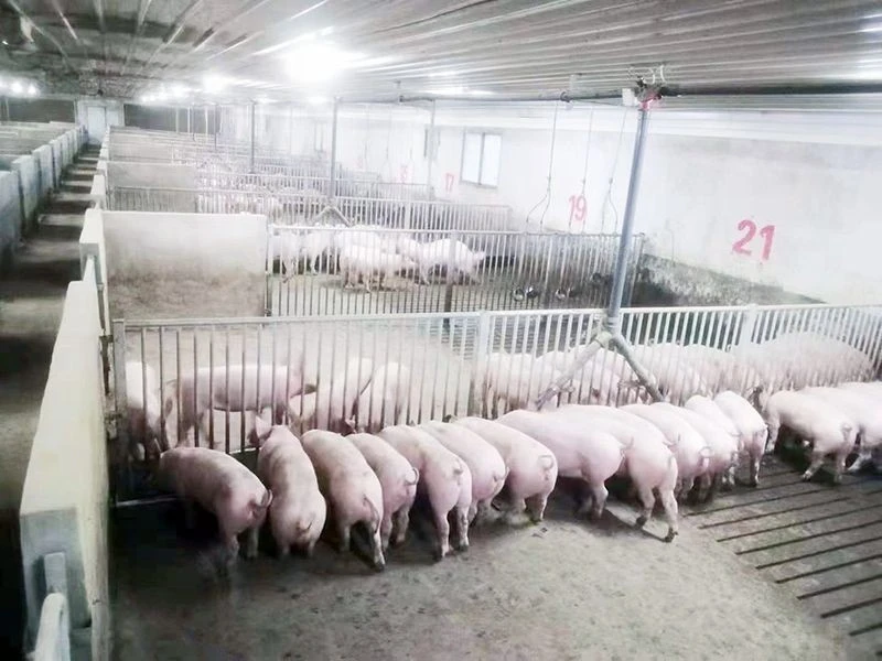 Liquid Feeding System best