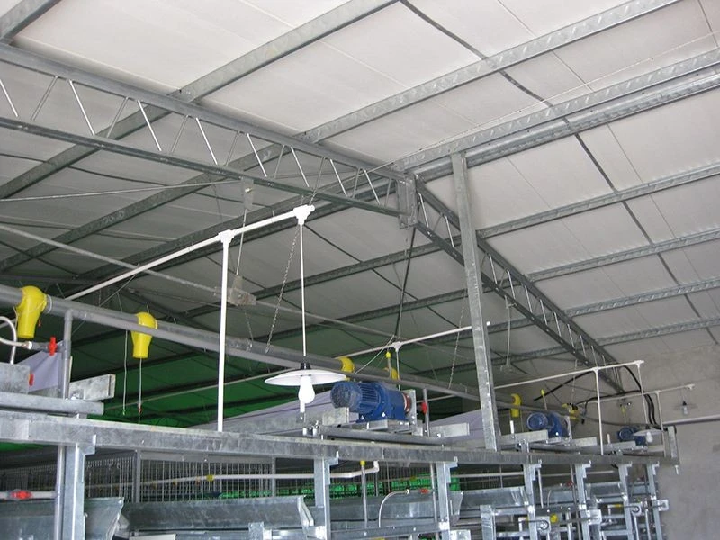 Metal Structure Poultry House high quality