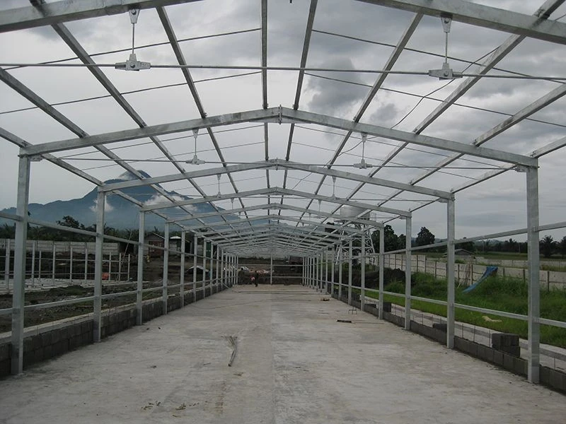 Metal Structure Poultry House factory