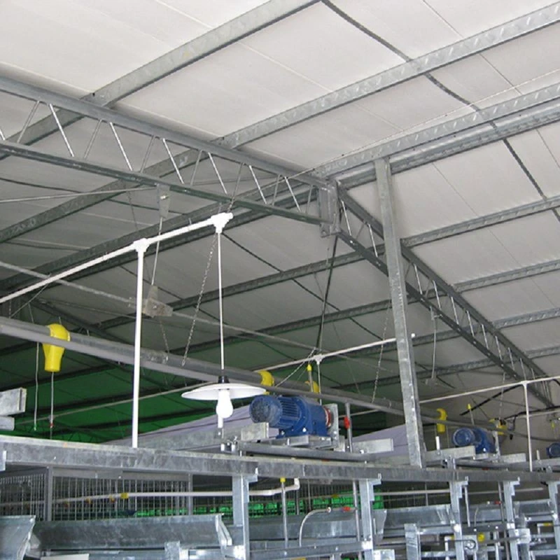 Metal Structure Poultry House best