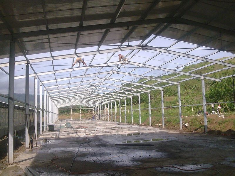 Metal Structure Poultry House factory