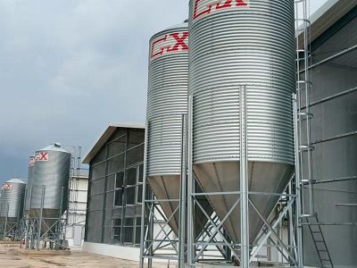 Guangzhou Guangxing Group Supports Zhejiang Fengji’s Million Layer Farm