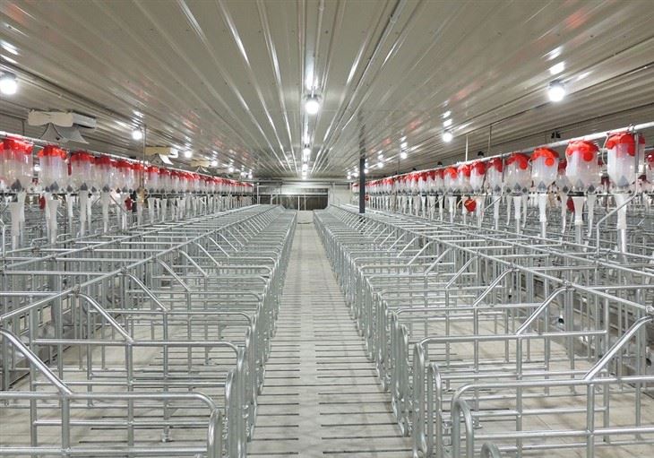 Pig Individual Positioning Pen