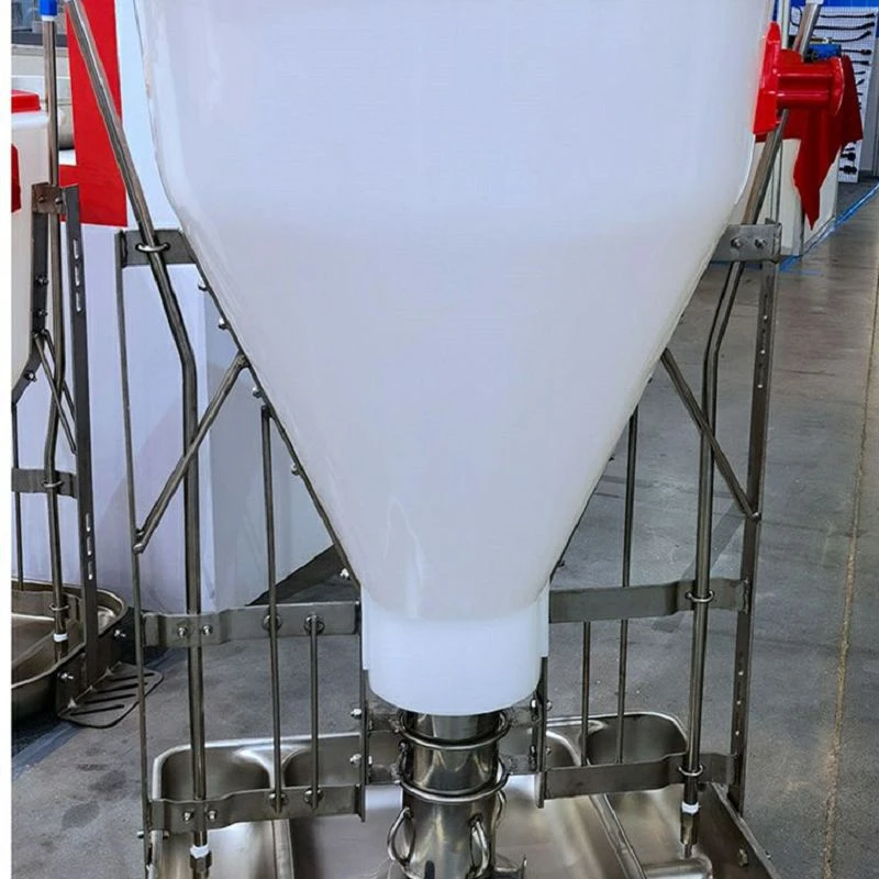 Pig Dry-Wet Feeders