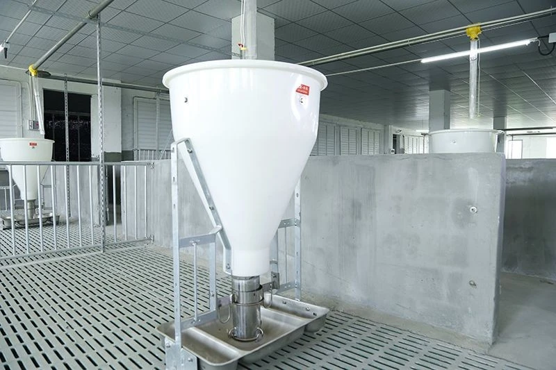 Pig Dry-Wet Feeders suppliers