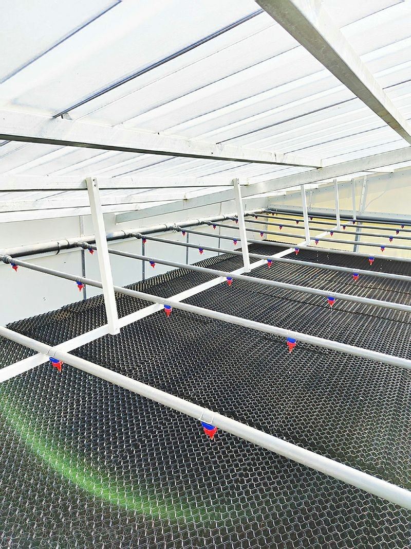 Pig Farm Odor Control System factory