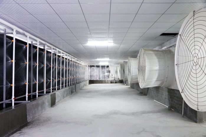 Pig Farm Odor Control System high quality