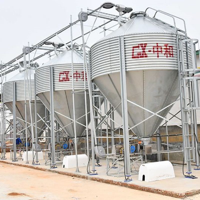 Pig Feed Silo