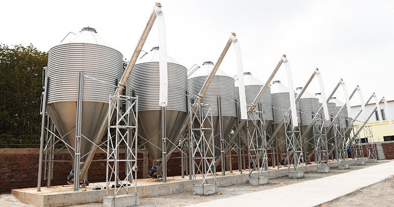 Pig Feed Silo high quality