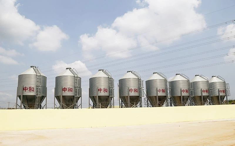 Pig Feed Silo best
