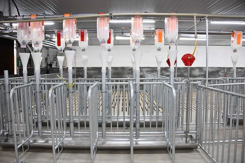 Pig Individual Positioning Pen suppliers
