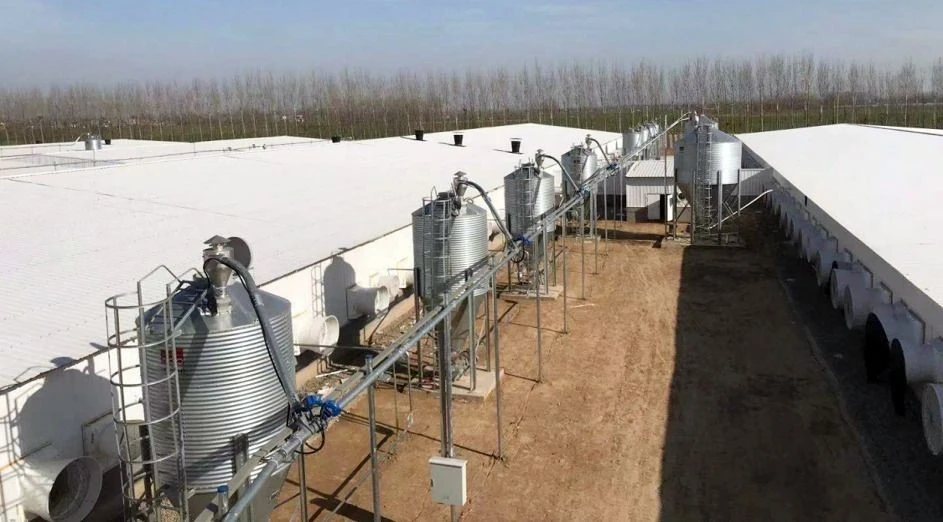 Pneumatic Feed Conveying System suppliers