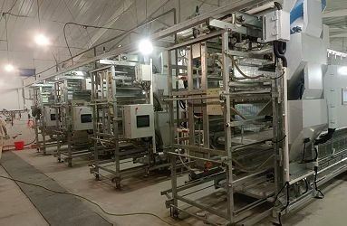 Precise Feeding System For Breeding factory