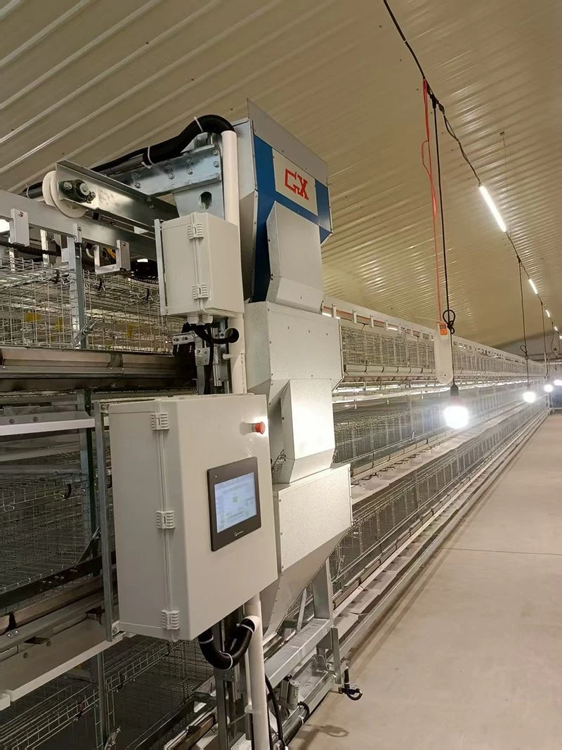 Precise Feeding System For Breeding best