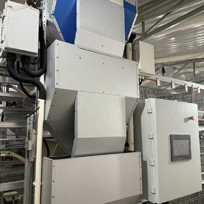 Precise Feeding System for Breeding