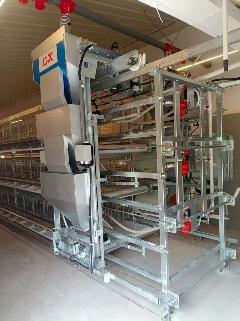 Precise Feeding System For Breeding high quality