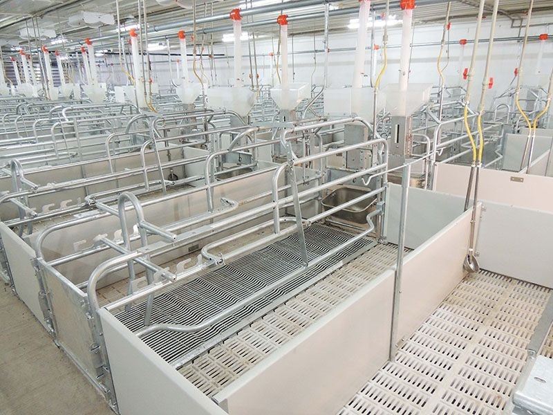 Premium Plastic Slatted Flooring high quality