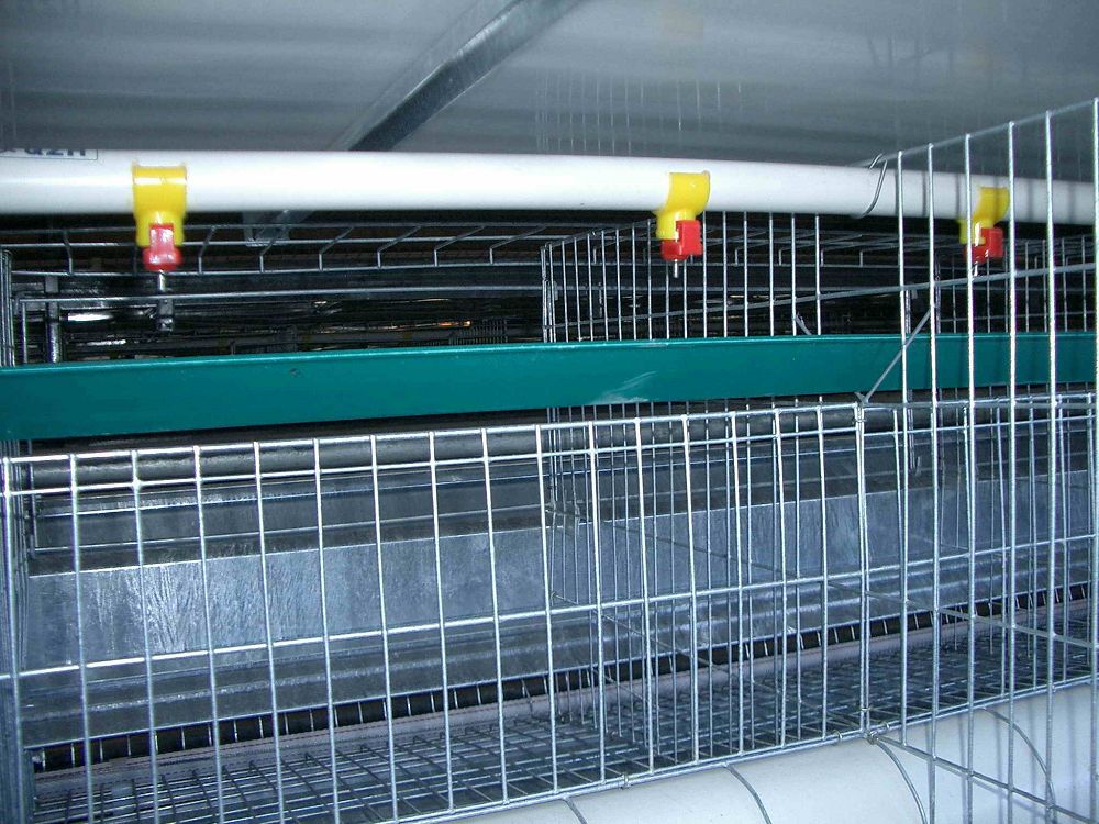 product-1000-750 product-1000-750
